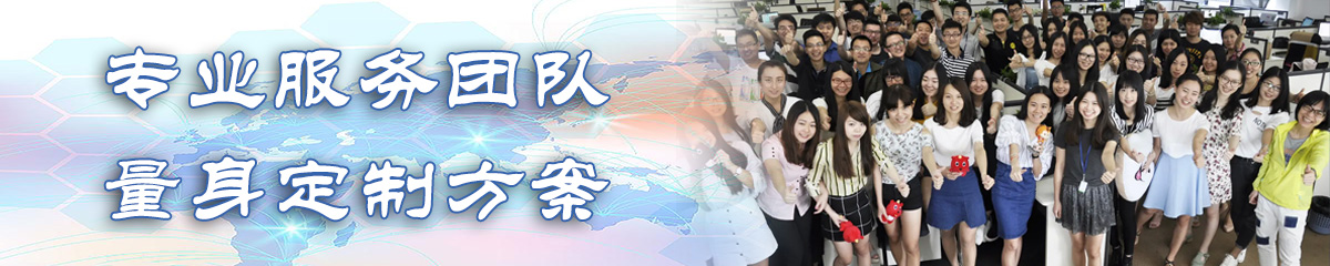 河池BI软件